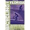 15 Fun Books about Florida