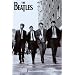 The Beatles Poster Print Collections Poster Print, 24x36 Collections Poster Print, 24x36
