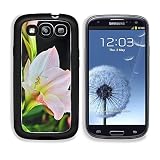 MSD Premium Samsung Galaxy S3 Aluminum Backplate Bumper Snap Case Hippeastrum johnsonii flower IMAGE 26823738
