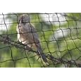 Netting Bird Poultry Aviary Game