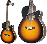 TAKAMINE Cooder TCP-400/TBS