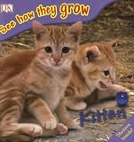 Kitten (See How They Grow)