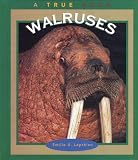 Walruses (True Books)