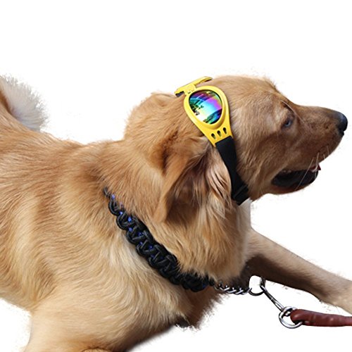 Pet Glasses Dog Sunglasses Dog Glasses Golden Retriever Samoyed