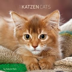 Katzen 2012. Brosch�renkalender 30 x 30 cm