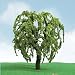 JTT Scenery Pro-Elite Tree, Willow 5.5