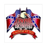 Official LYNYRD SKYNYRD Eagle GREETING CARD Birthday
