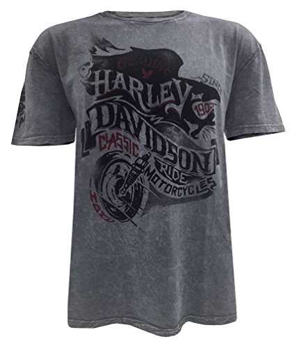 Harley-Davidson Men's End of the Road Short Sleeve Washed T-Shirt 5J31-HB7J (L)