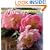 Flowers Calendar 2009 (Wall Calendars)
