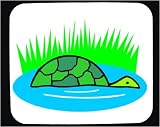 Mauspad mit Dekoration - Australien, Reptilien, Schildkroete, Sumpf, Outback