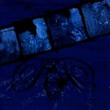 Roots of Rebellion - Surfacing