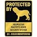 PROTECTED BY " NEAPOLITAN MASTIFFS HOME SECURITY SYSTEM " PARKING SIGN DOG