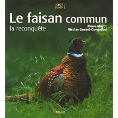 Le faisan commun : la reconqu�te