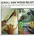 Scroll Saw Wood Reliefs: The Art & Craft of Painted Intarsia Work by David Jones