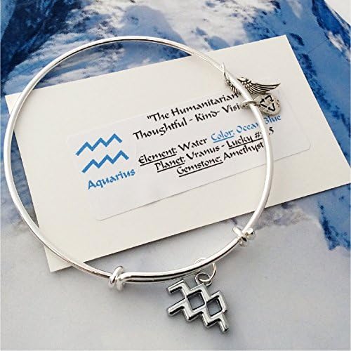 Zodiac Sun Sign Astrology Bangle Bracelet, AQUARIUS silver wire charm bangle