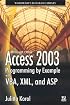 Access 2003 Programming by Example with VBA,  XML,  and ASP