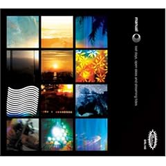 Lost Days Open Skies and Streaming Tides