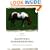 Backyard Horsekeeping: The Only Guide You'll Ever Need