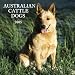 Australian Cattle Dogs 2005 Calendar