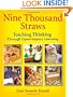 Nine Thousand Straws: Teaching Thinking Through Open-Inquiry Learning