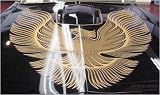 1981 Trans Am Black Special Edition Kit (2-color) (w/molded stripes)-GOLD Ver.1