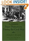 Louisiana Sugar Plantations During the Civil War