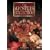 The Apostles Collection (The Story of the Twelve Apostles / The Story of  Paul the Apostle)