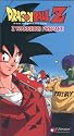 Dragon Ball Z - Z Warriors Prepare (Edited Version) [VHS]