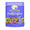Wellness Healthy Indulgence Chicken, Duck and Shrimp Recipe Cat Food (Pack of 24, 3-Ounce Pouches)