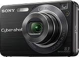 Sony Cybershot DSCW130/B 8.1MP Digital Camera with 4x Optical Zoom with Super Steady Shot (Black)