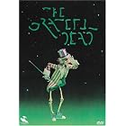Click here to buy The Grateful Dead Movie by  Jerry Garcia, Donna Godchaux, Keith Godchaux, Mickey Hart, and Bill Kreutzmann .