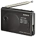 Sony AN-100 A Aktiv-Antenne (zur Verbesserung der Empfangseigenschaften im LW / MW / KW-Bereich)