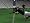 Rugby 2005 (PS2)