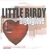 Bigbiglove an album by Little Birdy