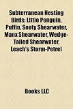 Subterranean Nesting Birds: Little Penguin, Puffin, Sooty Shearwater, Manx Shearwater, Wedge-Tailed Shearwater, Leach's Storm-Petrel