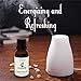 AromaOils Pure & Therapeutic Grade Peppermint Essential Oil, Fresh Menthol and Mint Scent, 1-Ounce (30 ml)