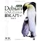 �����Ă��ǂ��񂶂�Ȃ�