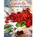 La peinture � l'eau