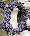 Field Grown Lavender Wreath