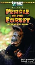 People of the Forest: The Chimps of Gombe [VHS]