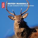 Mammals of Britain