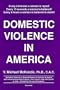 Domestic Violence in America