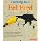 Lovebird Owner Must-Haves