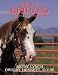 Bits and Bridles: Power Tools for Thinking Riders