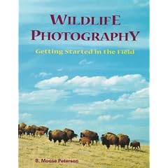 Nikon Guide to Wildlife Photography: v. 2