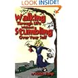 Walking Through Life Without Stumbling Over Your Self