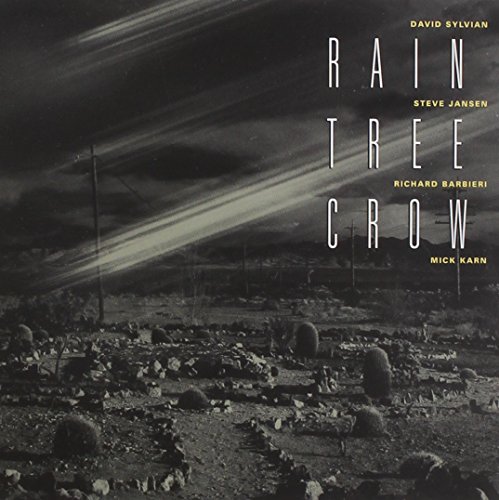 Rain Tree Crow - Everything and nothing - Zortam Music