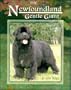 The Newfoundland, Gentle Giant