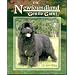 The Newfoundland, Gentle Giant