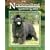 The Newfoundland, Gentle Giant